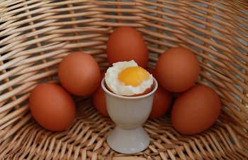 egg (2)